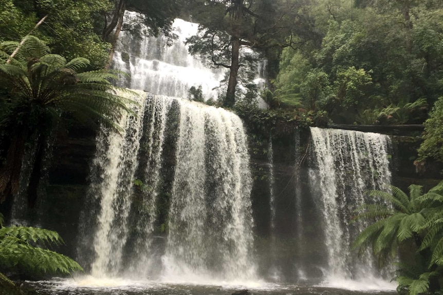 Russell Falls at Mount Field National Park.