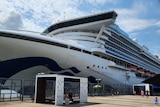 An image of the Grand Princess cruise ship at dock.