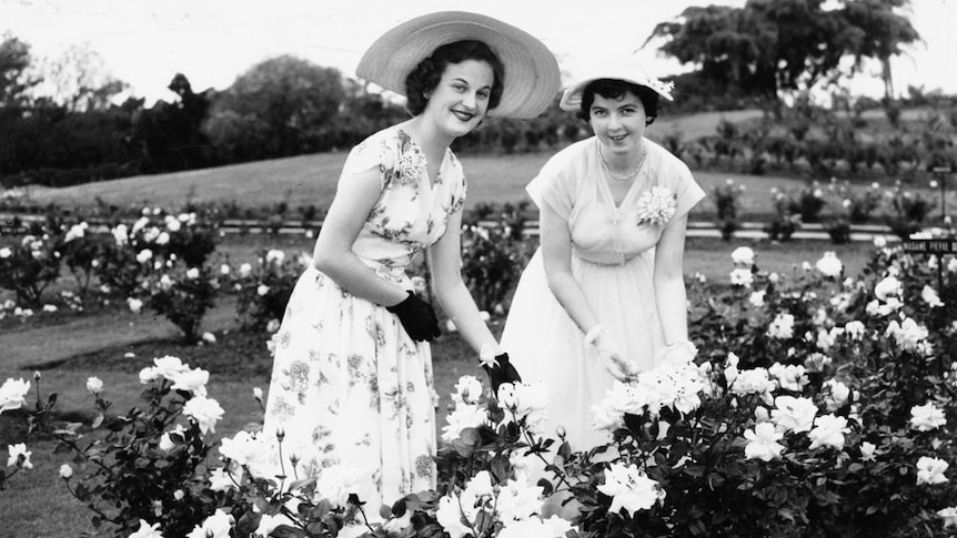 Black and white photo of two women picking roses.
