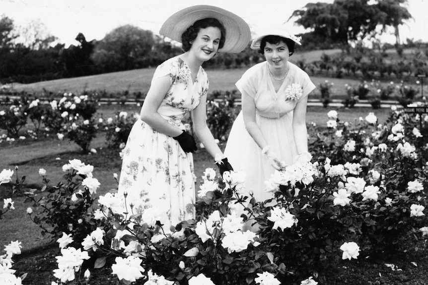 Black and white photo of two women picking roses.