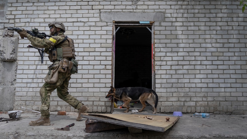 An armed soldier points a rifle forward as a patrol dog walks behind, past an open door.