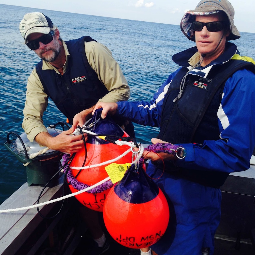 Department of Primary Industries staff members pulling in drum lines which were used to catch sharks on the NSW far north coast.