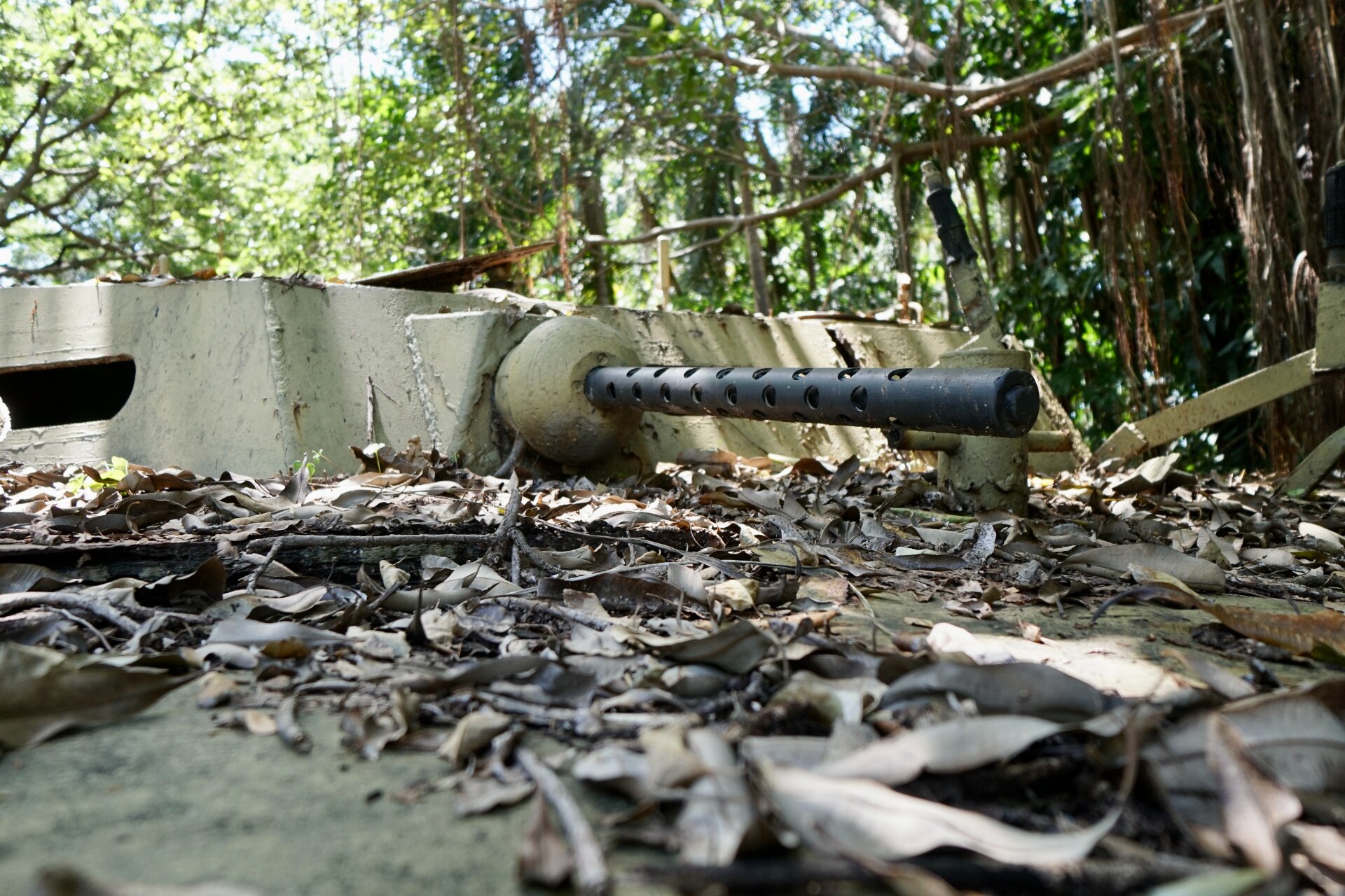 The top of a World War II-era tank as seen past a bed of leaves, with trees overhead. 