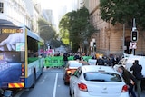 A couple dozen of protesters stand in the middle of the street in Brisbane's city.