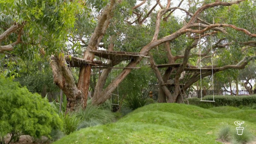 Backyard garden with treehouse and mounded turf lawn