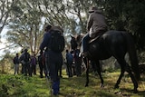 The rear view of a horse and hikers as they head into bushland