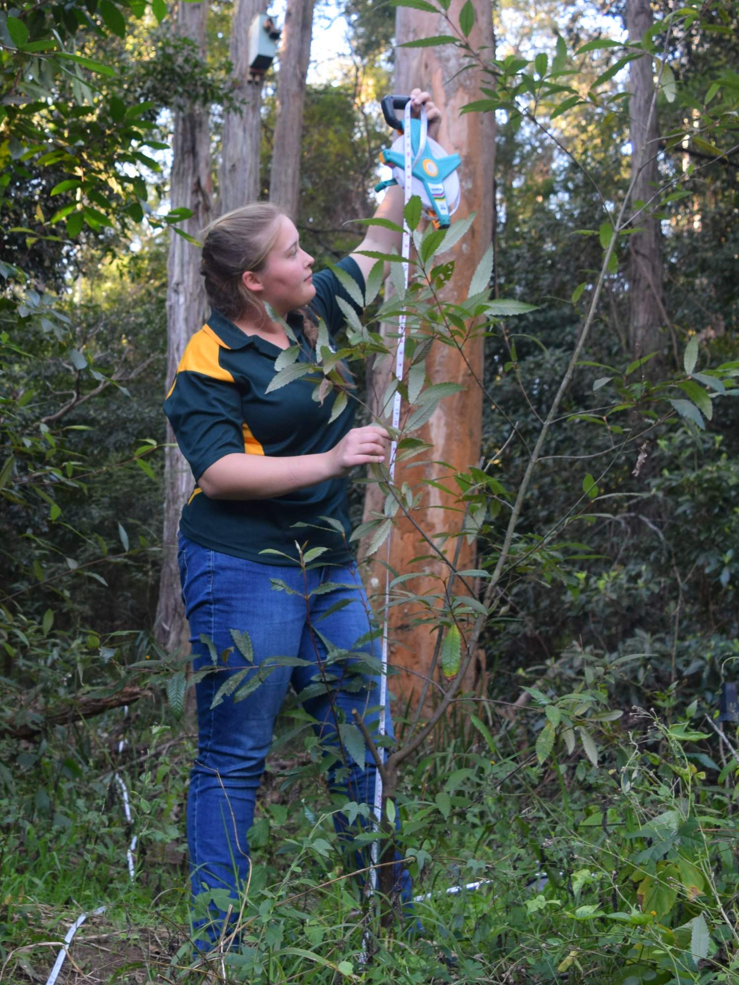 BHP finalist Mary-Anne Poyitt awarded in US competition - ABC listen