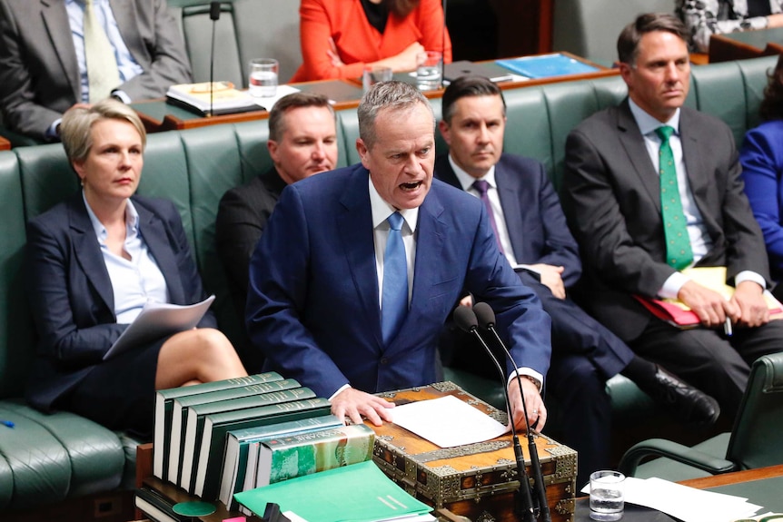 Bill Shorten speaks to the Lower House with a stern expression as Labor colleagues look on.