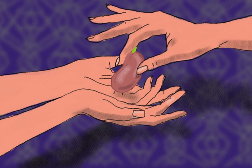 A hand passes a seed to open hands