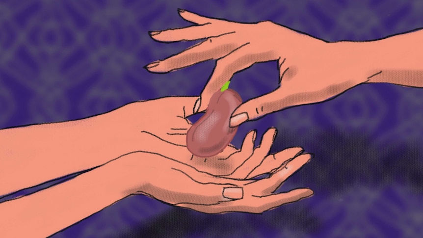 A hand passes a seed to open hands