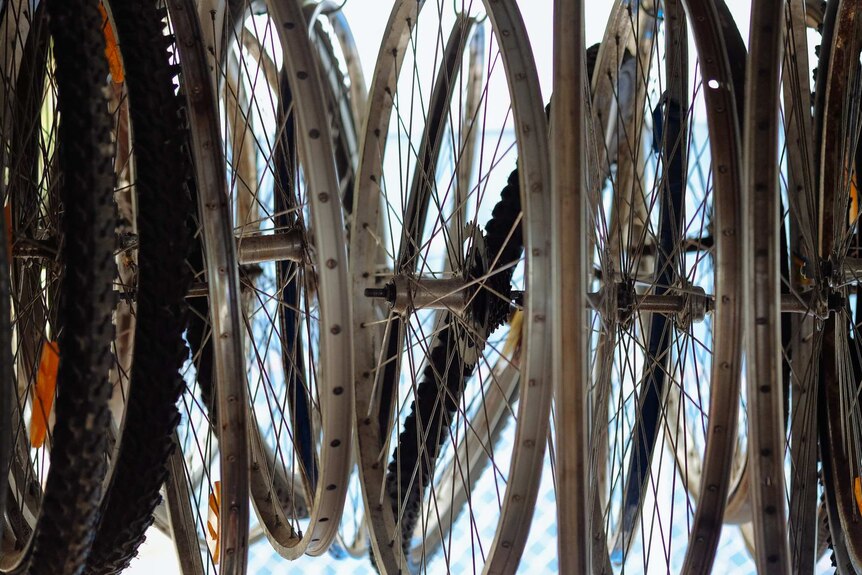 Spare wheels hang in the racks at the Western Sydney Cycling Network
