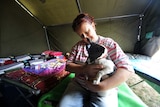 Brenda Creed hugs her dog as she sits in an emergency shelter in Yea