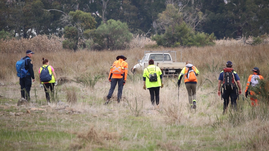 People in high-vis gear stand in a line and walk through long grass in scrubland.