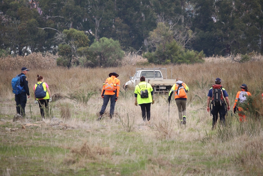 People in high-vis gear stand in a line and walk through long grass in scrubland.