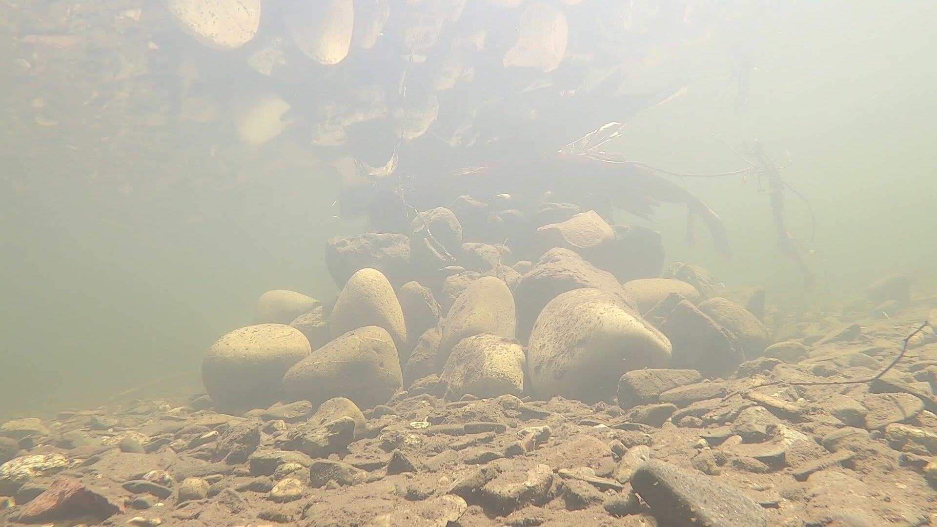 A fish hotel made of wood and rocks in the bend of a slow-moving freshwater river, as seen from below the waterline.