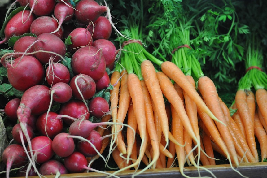 Raddishes and carrots on display at a vegetable store.