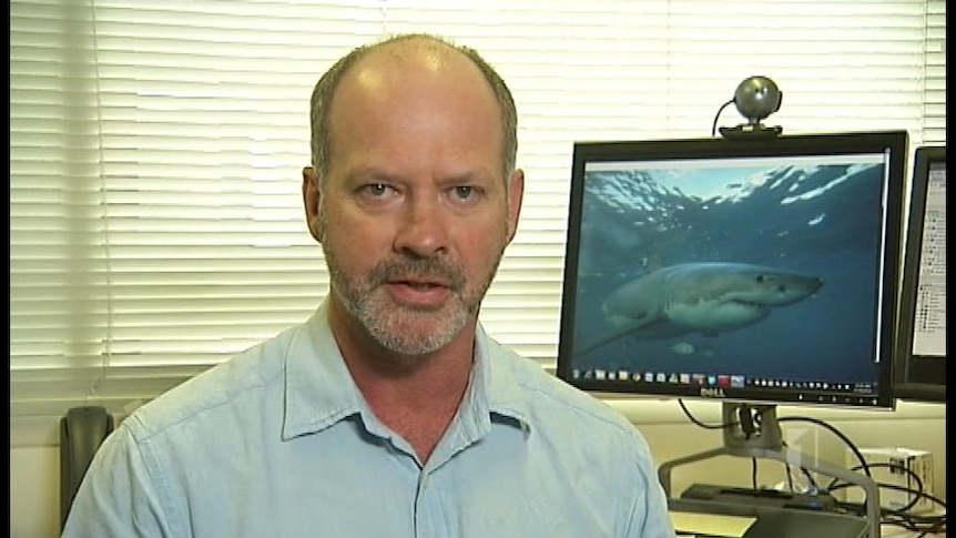 Watch 7.30's report, which aired on Friday, about shark attacks in WA