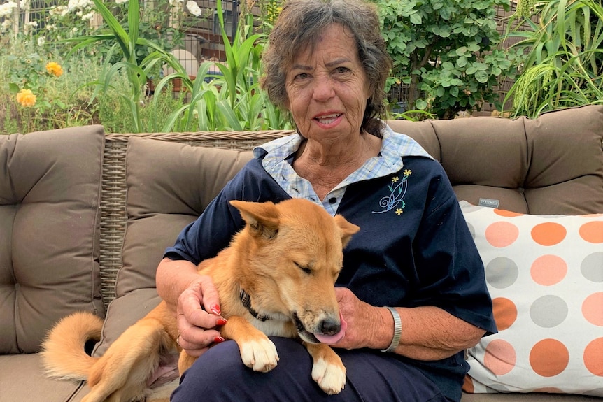 Tehree Gordon sitting on an outdoor sofa with a sandy-yellow dingo relaxing on her lap.