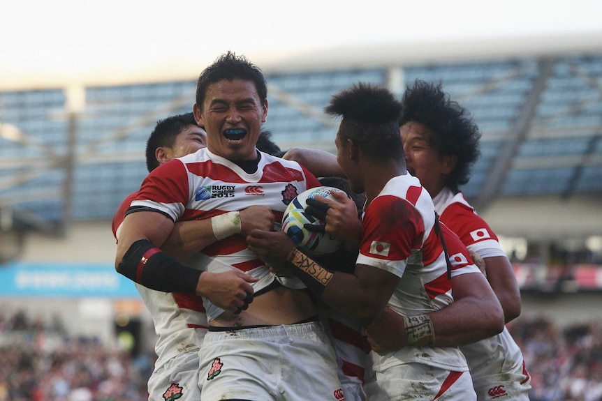 Japan celebrates winning try against Springboks