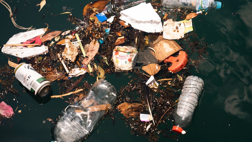 Water bottles and garbage float on the surface of water