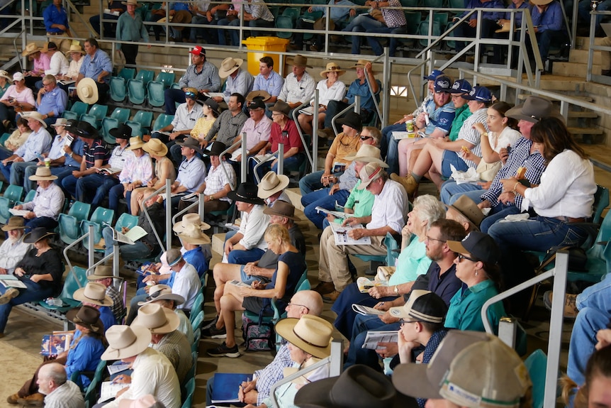 A crowd of people holding brochures sitting in a grandstand 