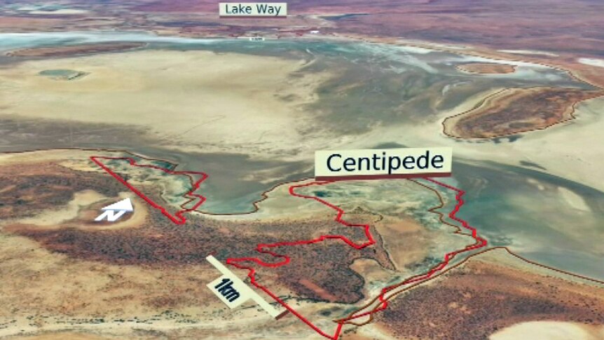 Centipede and Lake Way near Wiluna