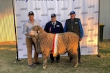 3 men stand behind the large ram after it won the title of Supreme Sheep at the Hay Sheep show. 