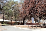 A sign reads Yarloop Primary School with the school campus in the background surrounded by several large trees.
