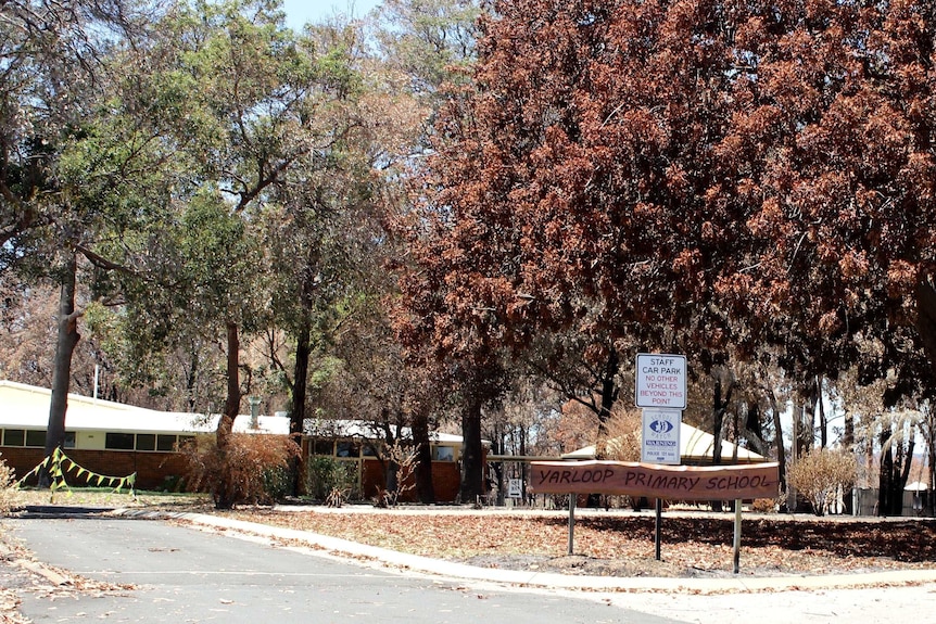 A sign reads Yarloop Primary School with the school campus in the background surrounded by several large trees.