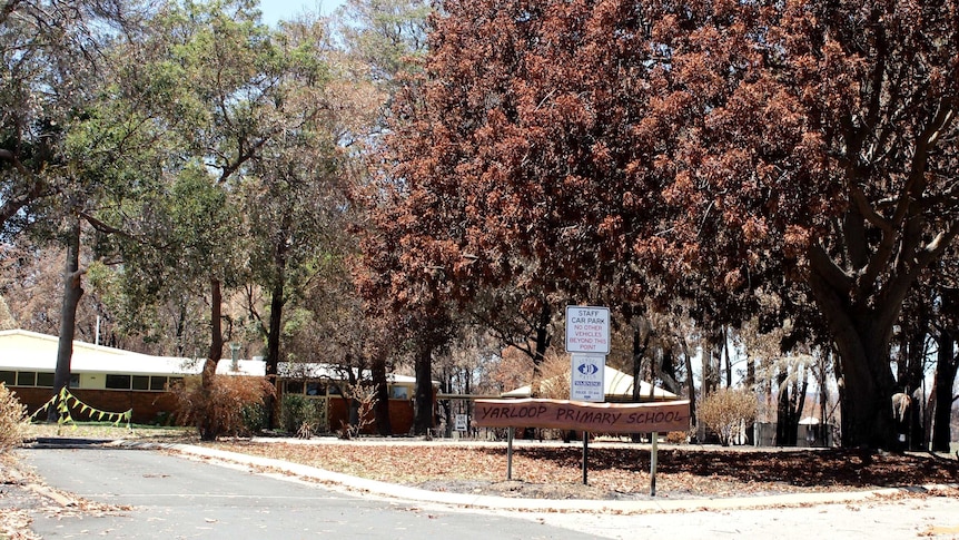 A sign reads Yarloop Primary School with the school campus in the background surrounded by several large trees.