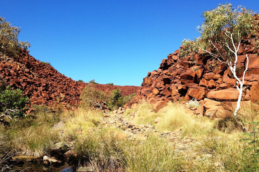 Rock art engraved into rocks under blue sky