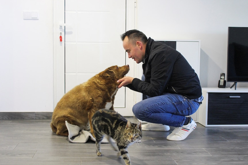 A man faces a dog as they look at eachother. A cat can be seen in the foreground. 