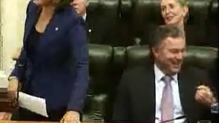 The Government has complained to the Speaker after Opposition MP John-Paul Langbroek made an "inappropriate" gesture.