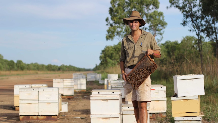 a man standing in front of bee hives, holding a frame with bees