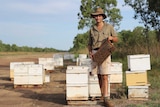 a man standing in front of bee hives, holding a frame with bees