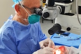 A man in hospital scrubs operating on someone's eye
