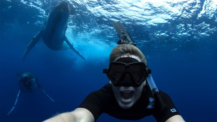 Craig Parry snaps a selfie with humpback whales in the background
