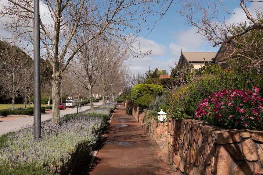 A street in Woodlake village, Ellenbrook.