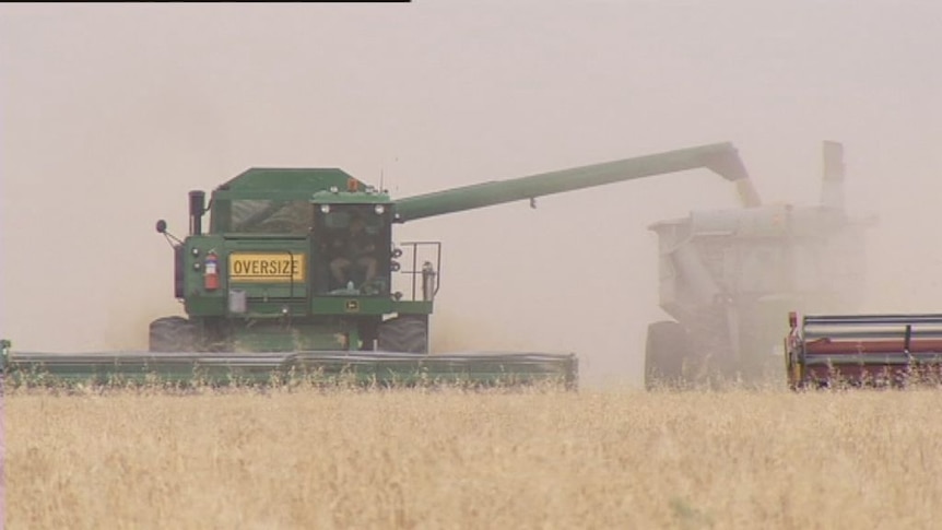 Wheat deregulation sparks political split
