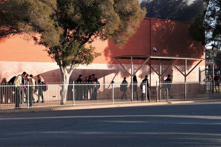 Students in front of a brick building next to a bus stop.