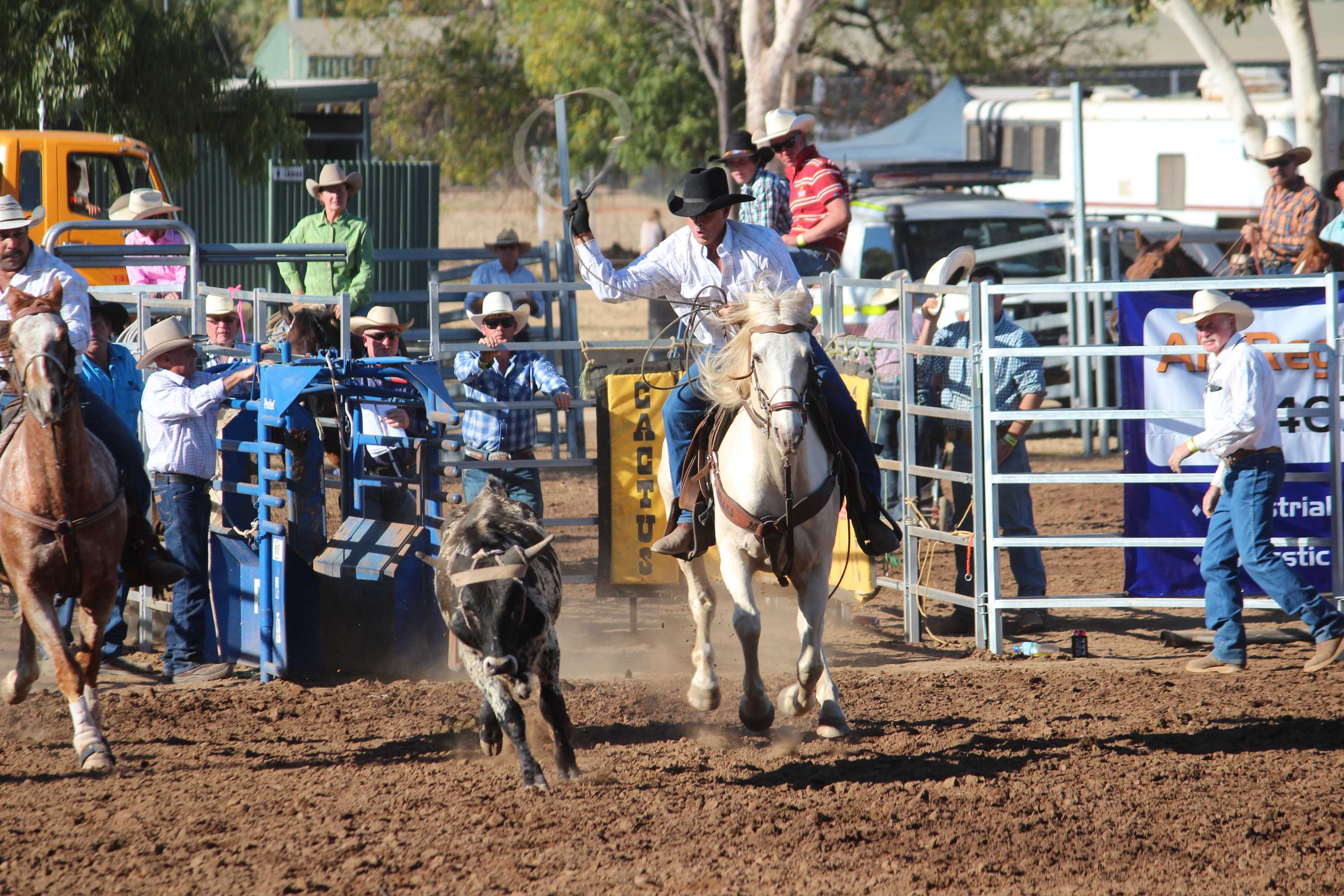 Cowboys Delight Top End Rodeo Crowds At Borroloola And Katherine - ABC News