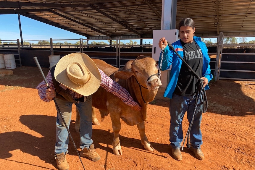 A man wearing a hat bends and scratches the neck of a red Brahman steer, held by a teenage boy in wearing a blue shirt.