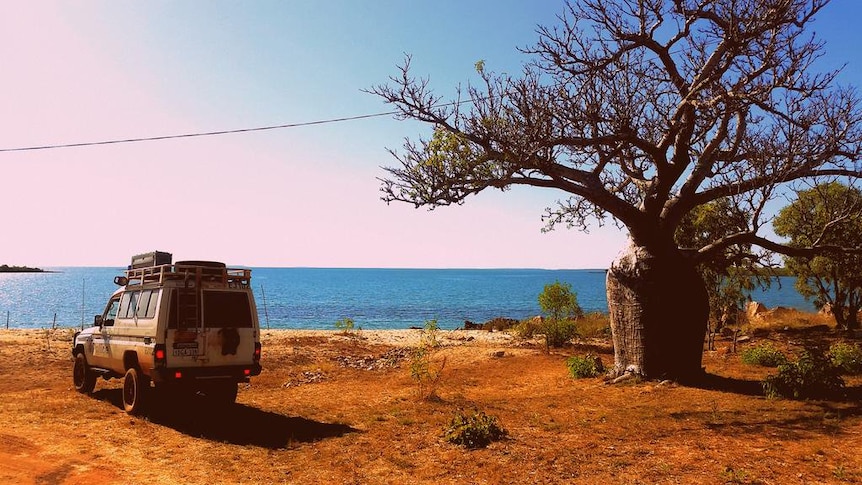 A police four-wheel-drive parked next to a boab tree by the sea.