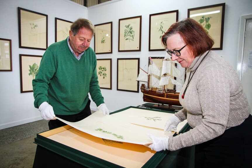 The art collectors, Emeritus Professor Jim Sinatra and his wife, historian, Curtis Sinatra.