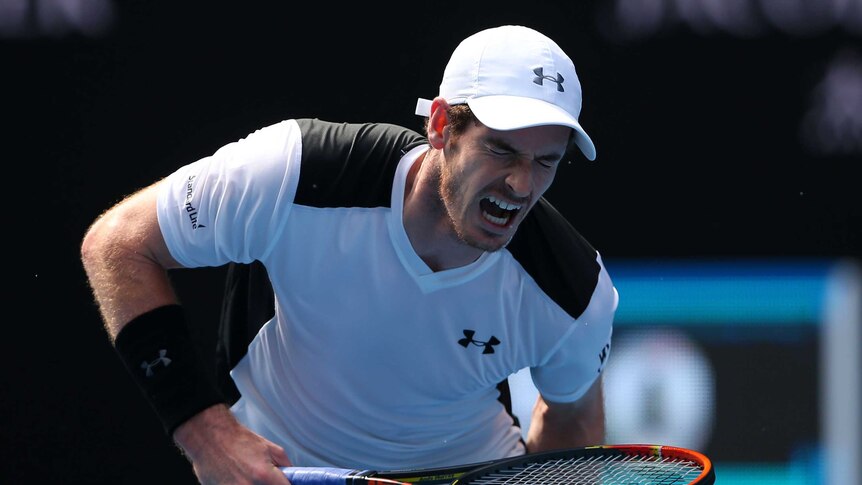 Tough encounter ... Andy Murray reaches for his leg during his four-set win over David Ferrer