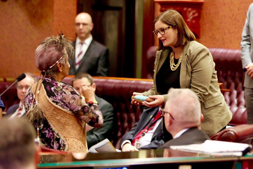NSW Aboriginal Affairs Minister Sarah Mitchell in NSW Parliament.