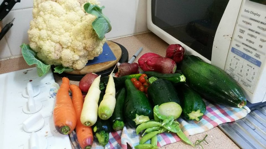 A pile of fresh home-grown vegetables in front of a microwave