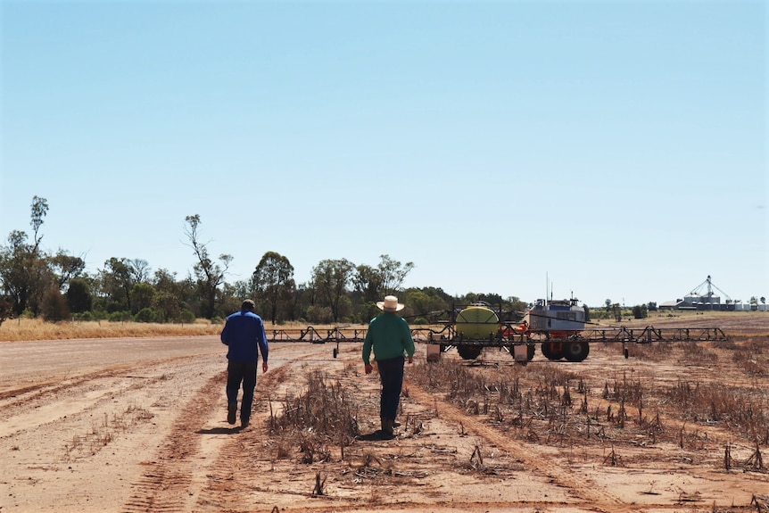 Tom and Phillip Coggan walk towards a Spray Bot in their paddock.