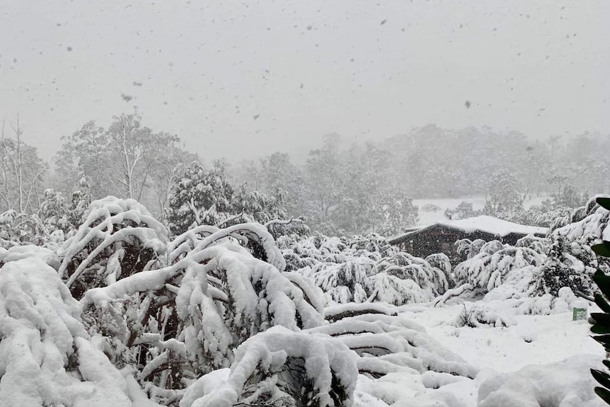 Snow blankets a rural setting.