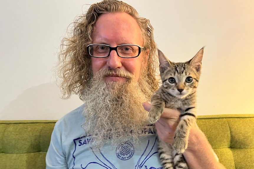 Finn the social media celebrity kitten and its owner, Darwin's Dave Krantz. 
